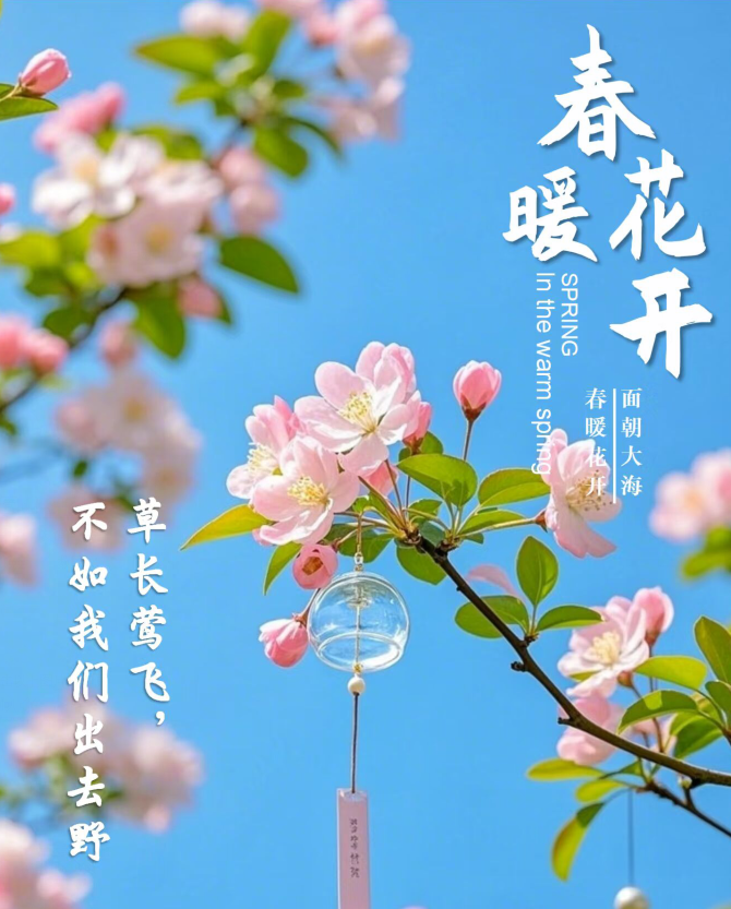 飘雪🎤V娱热点