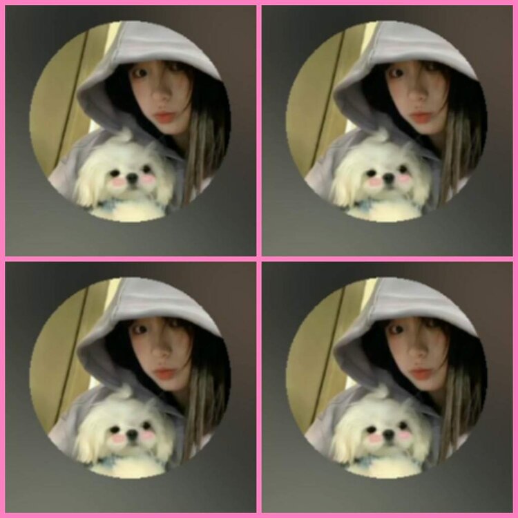 惜缘🎤V娱热点