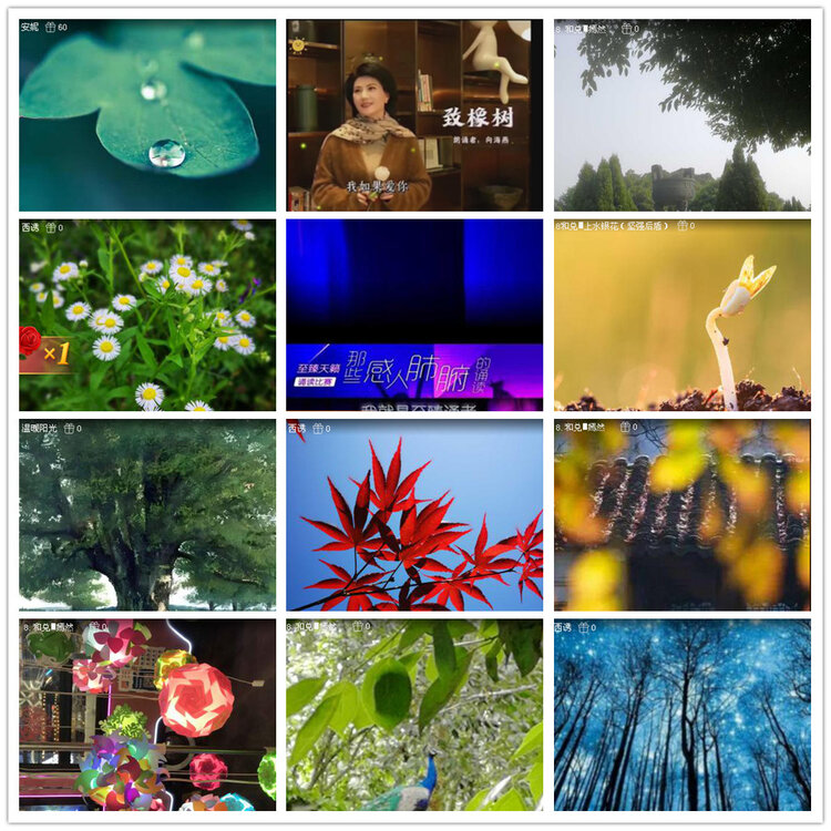 沛滢🎤V娱热点