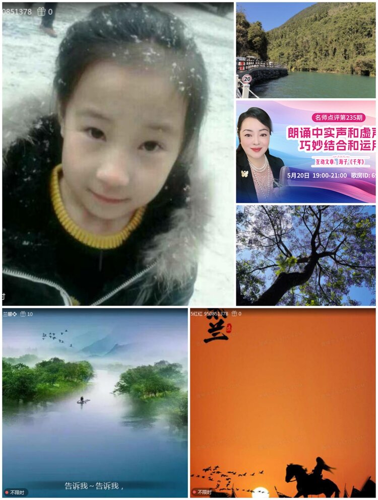 无言🎤V娱热点