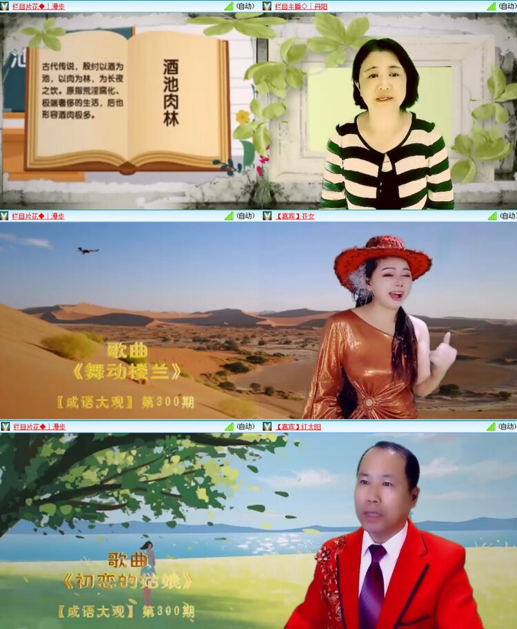无言🎤V娱热点