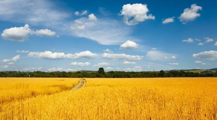 雪儿🎤V娱热点