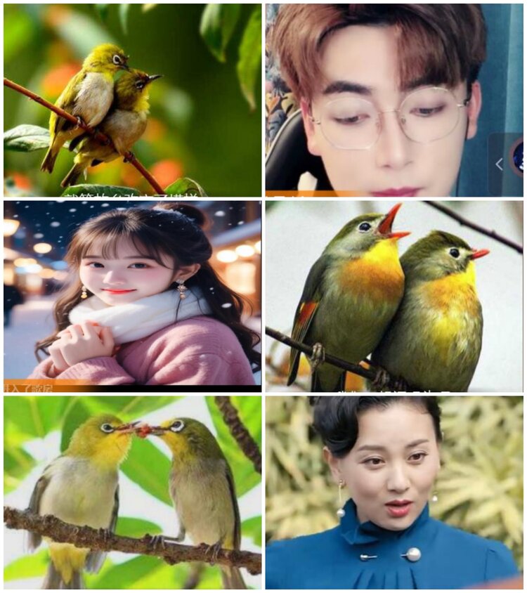 思点🎤V娱热点