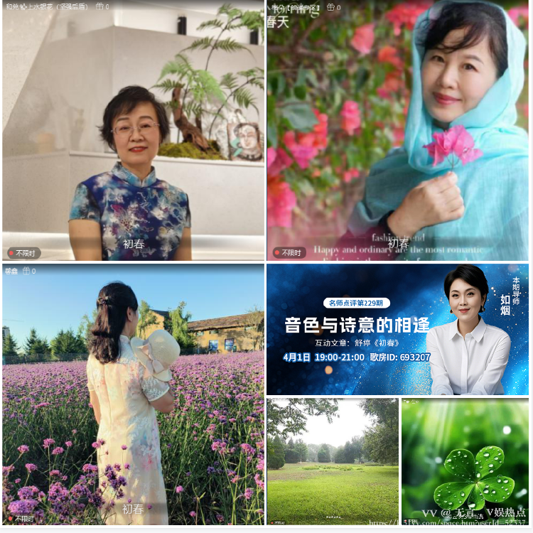 无言🎤V娱热点