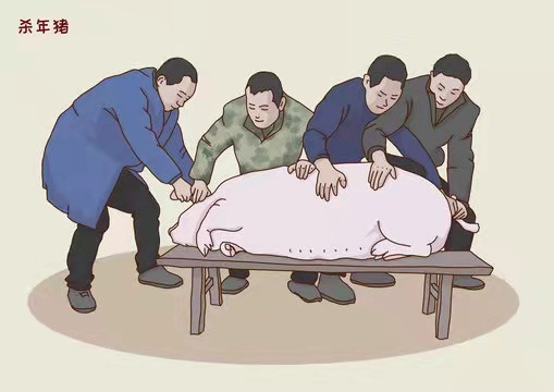 猪杀令图片