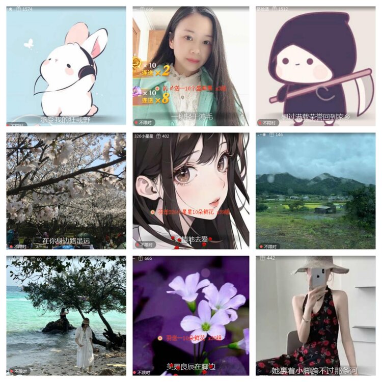 海燕🎤V娱热点