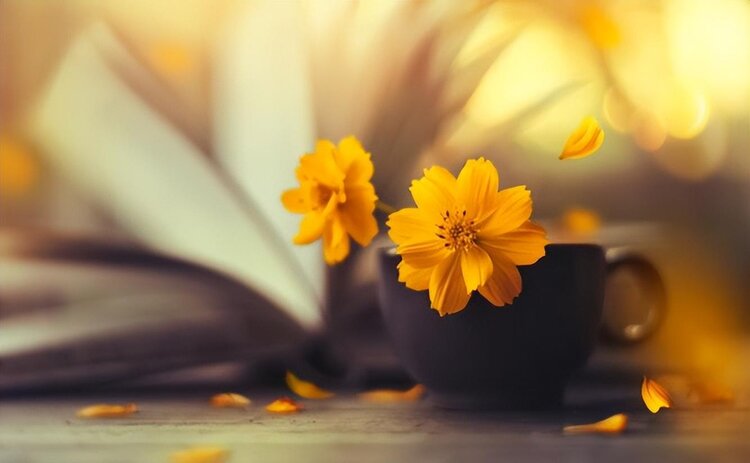 小浅🎤V娱热点