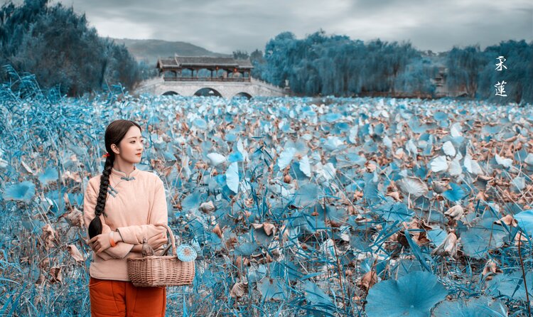 杨丽陕西西安