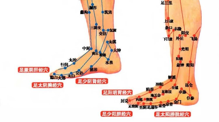 原创天地红尘家族 -红尘