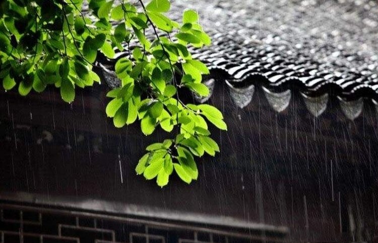 爱吾爱（雅韵文轩）