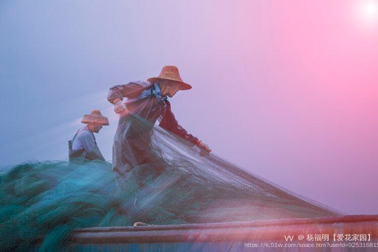 杨福明【爱花家园】