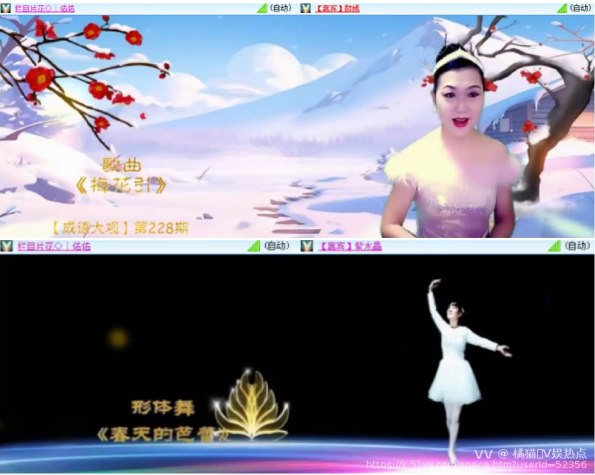 橘猫🎤V娱热点