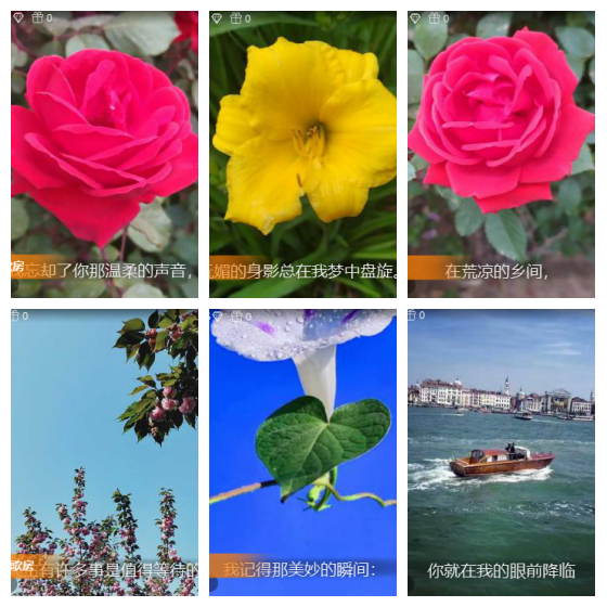 芯薇🎤V娱热点