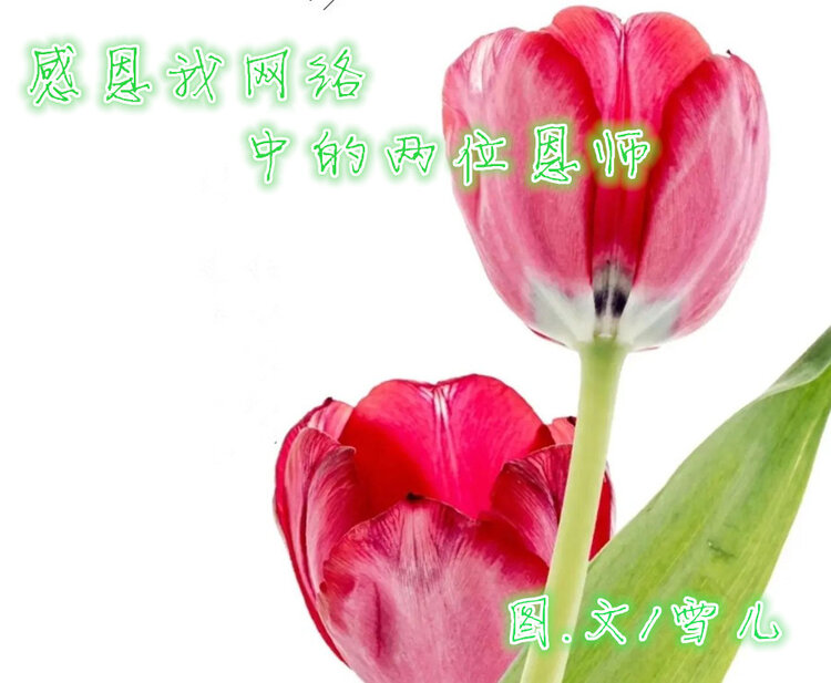 雪儿🎤V娱热点