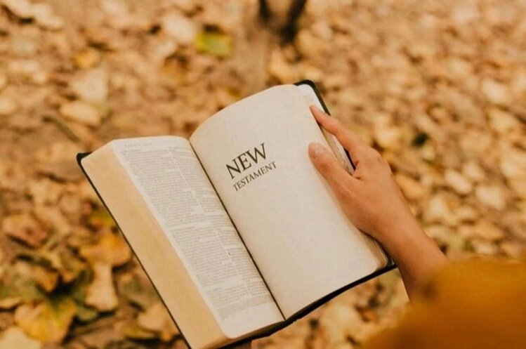 小浅🎤V娱热点