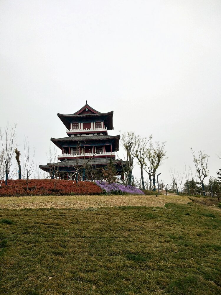 眺望风景