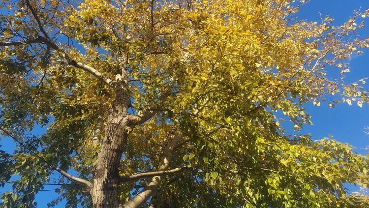 雪儿🎤V娱热点