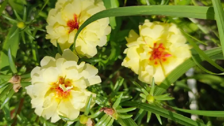 雪儿🎤V娱热点