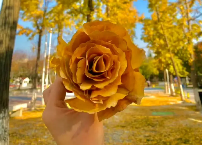 小浅🎤V娱热点