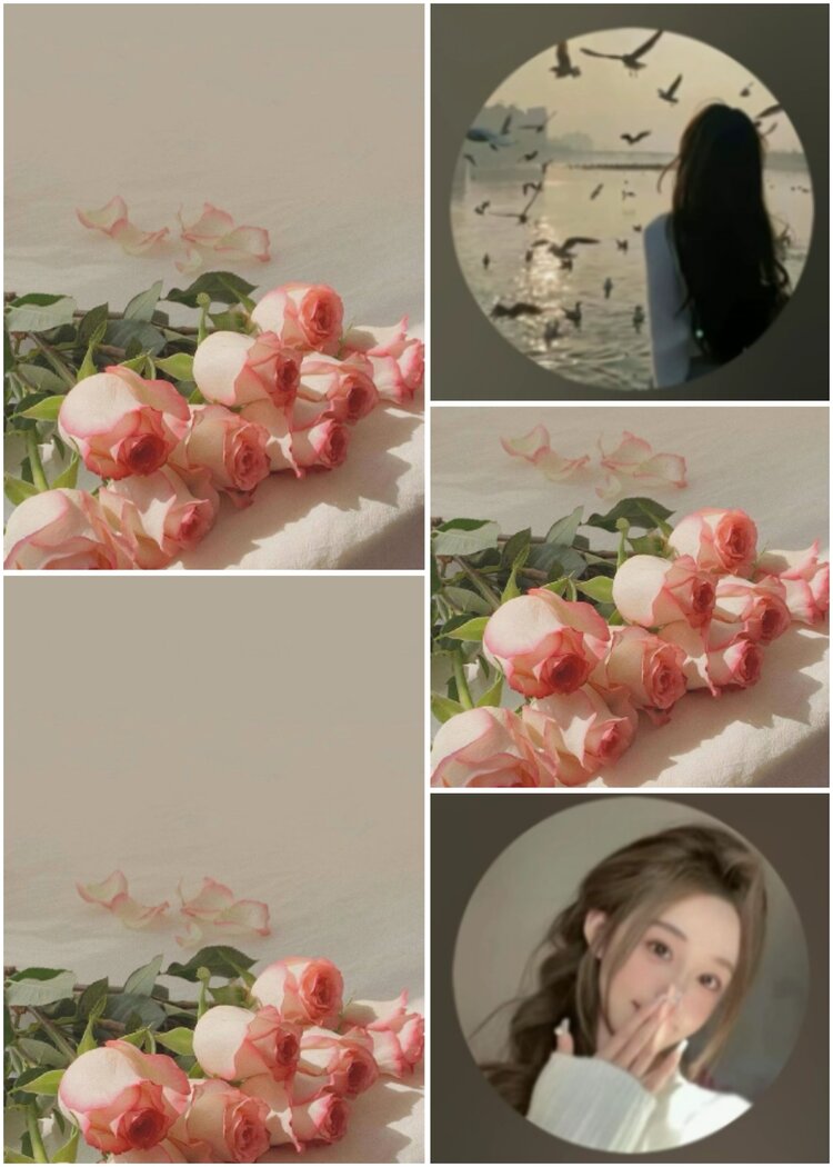 思点🎤V娱热点