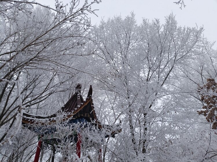 雪儿🎤V娱热点