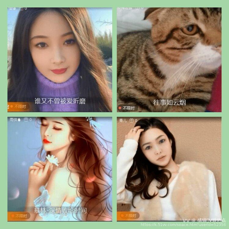 橘猫🎤V娱热点