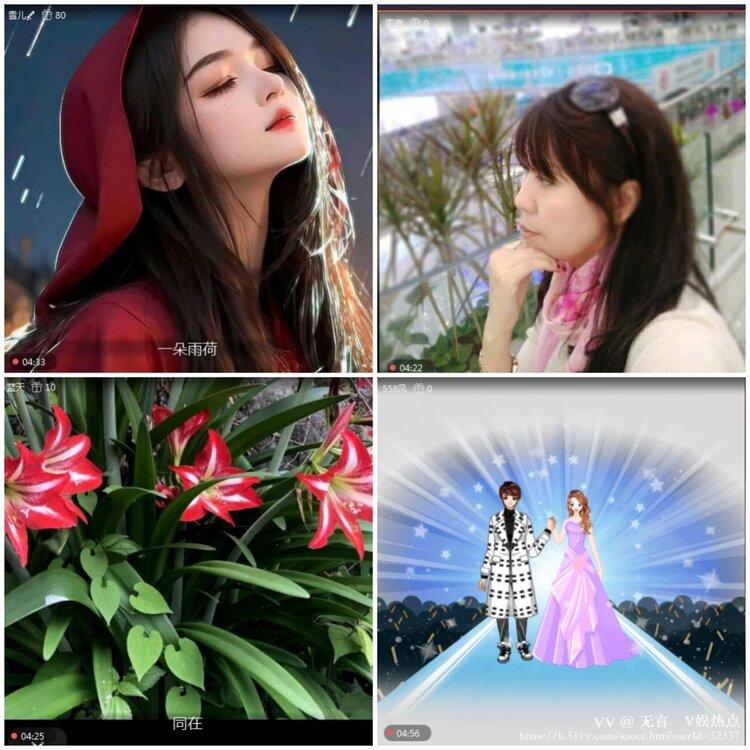 无言🎤V娱热点