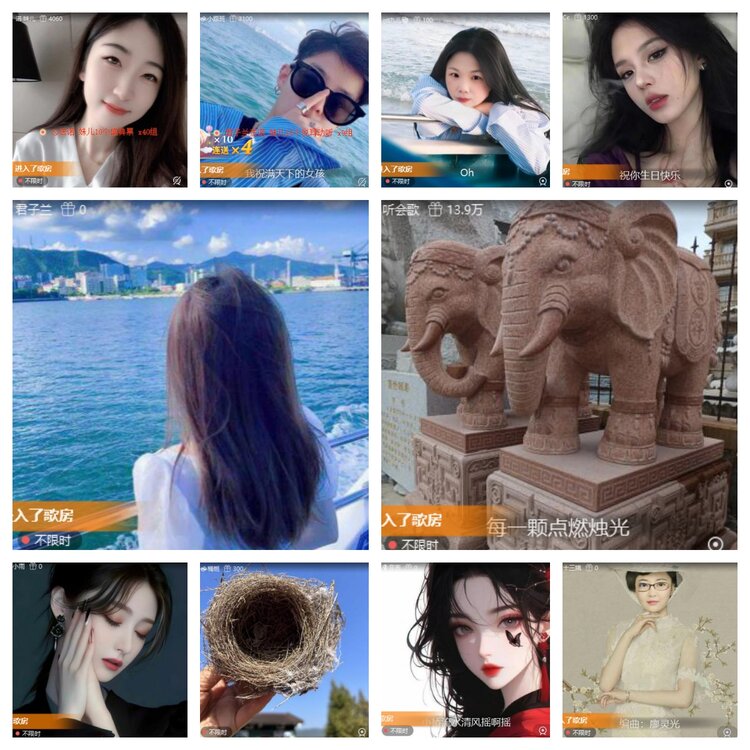 心玫🎤V娱热点