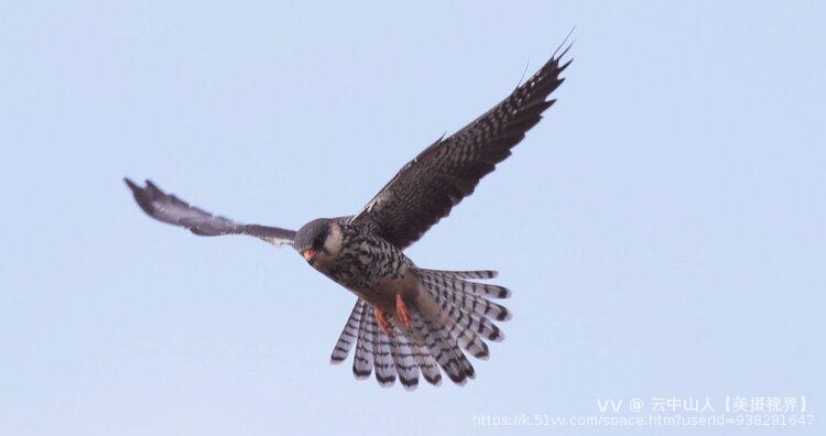 云中山人【美摄视界】