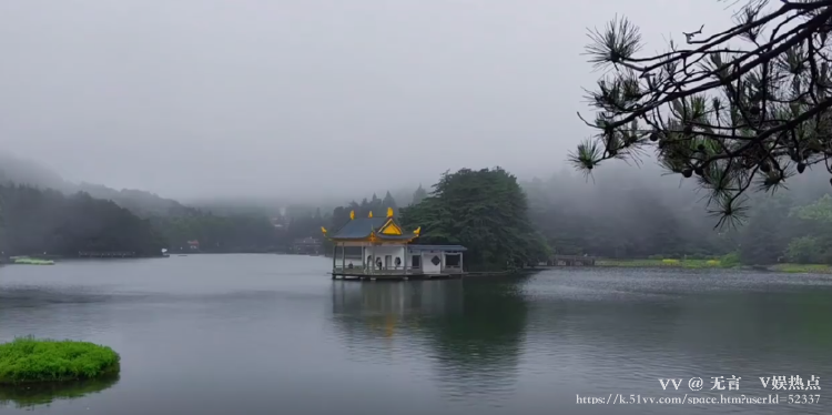 无言🎤V娱热点