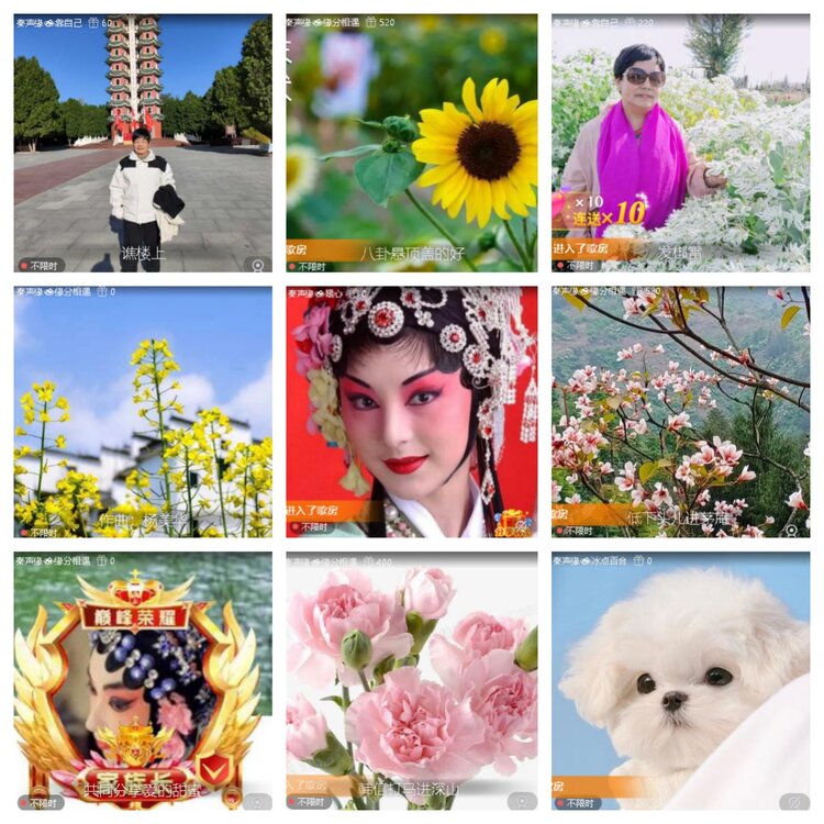 若雨🎤V娱热点