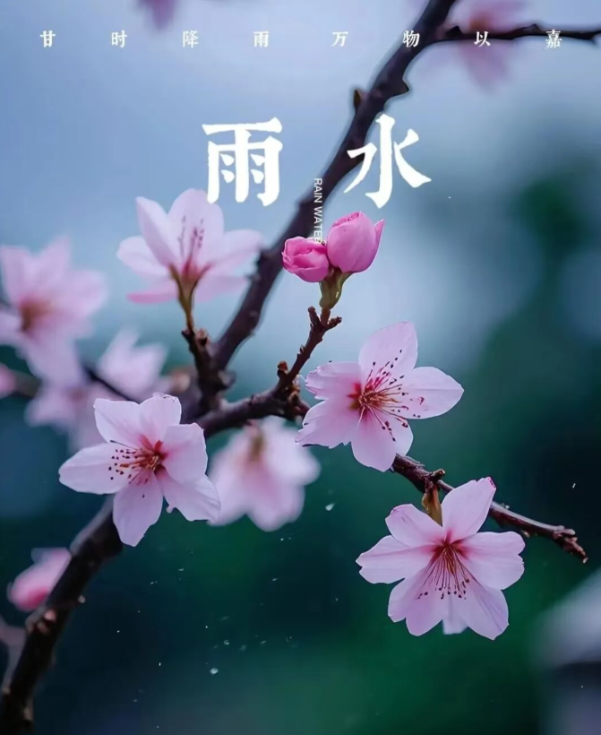 飘雪🎤V娱热点