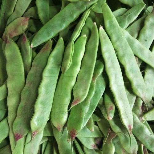 〖中国音院〗学员天使