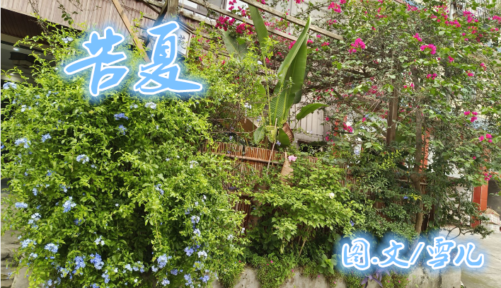 雪儿🎤V娱热点