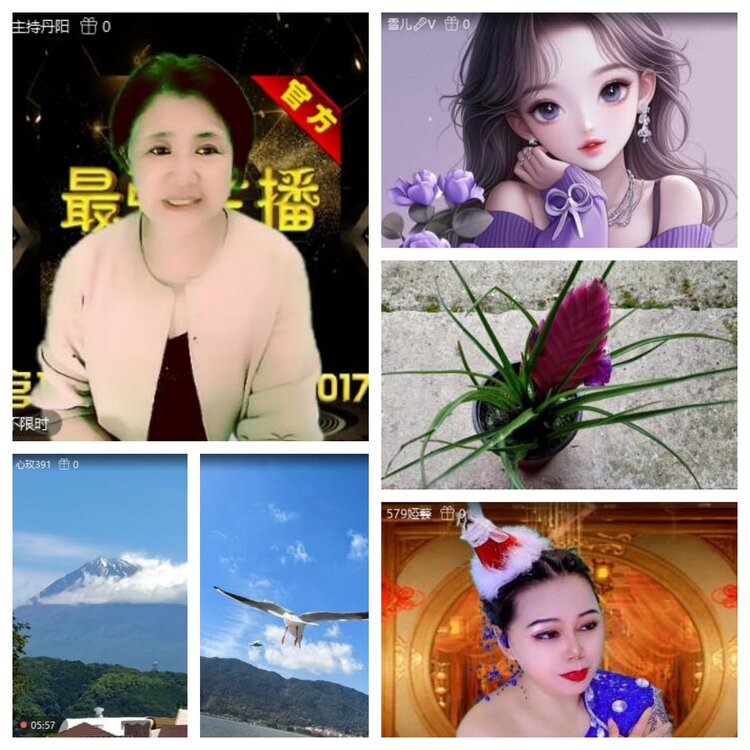 浓茶🎤V娱热点