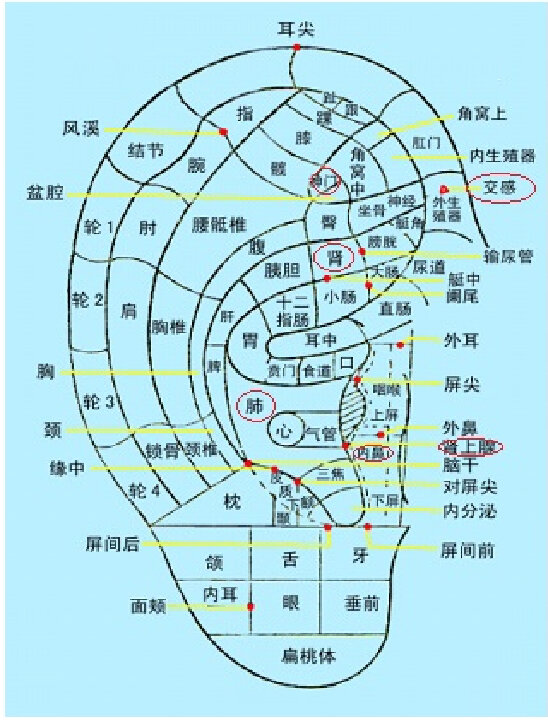 四十而养生