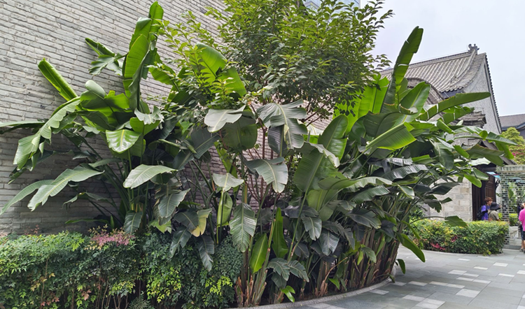 雪儿🎤V娱热点