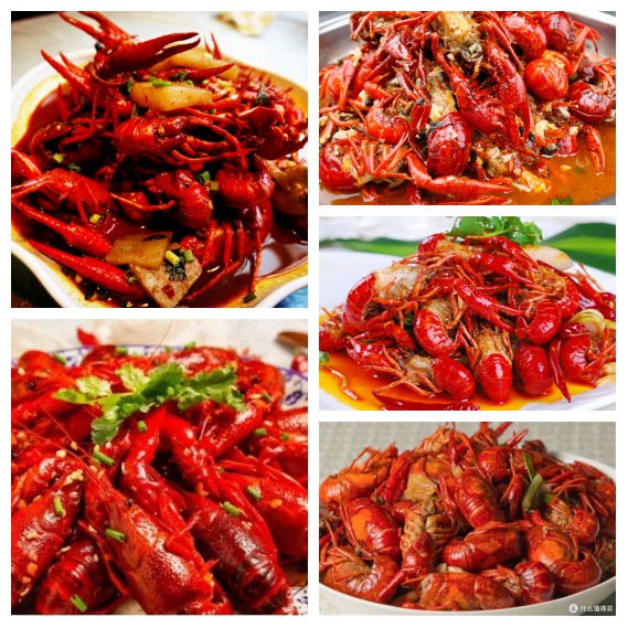 芯薇🎤V娱热点