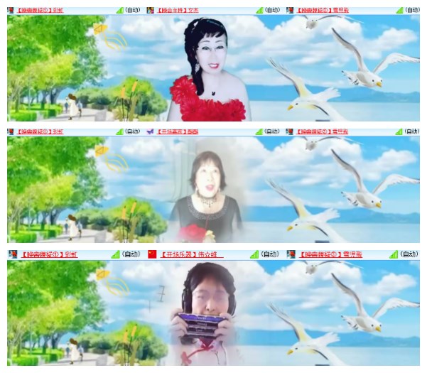 莹莹V娱热点