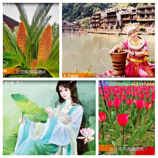 芯薇🎤V娱热点