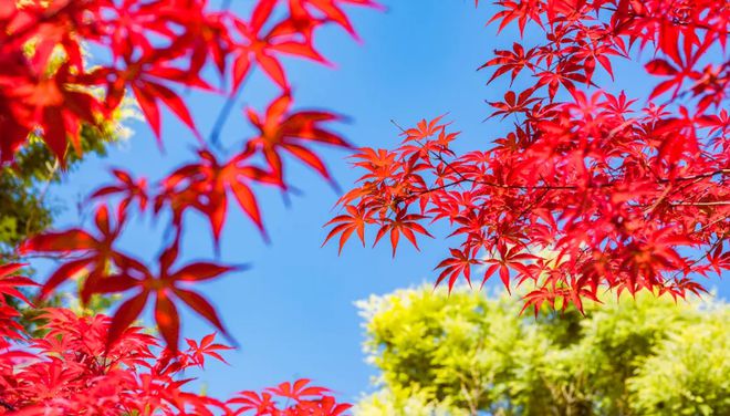 小浅🎤V娱热点