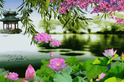 💞💎昭君出塞💎💞總創