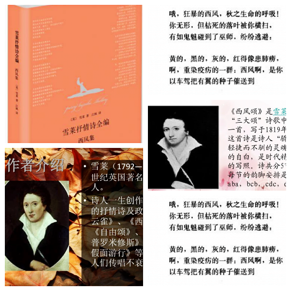 芯薇🎤V娱热点