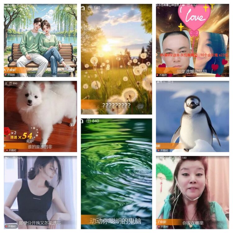 苏苏🎤V娱热点