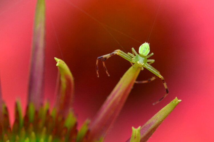 北京黄爷【美摄视界】