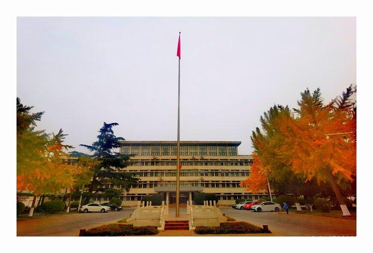 914738688晨龙