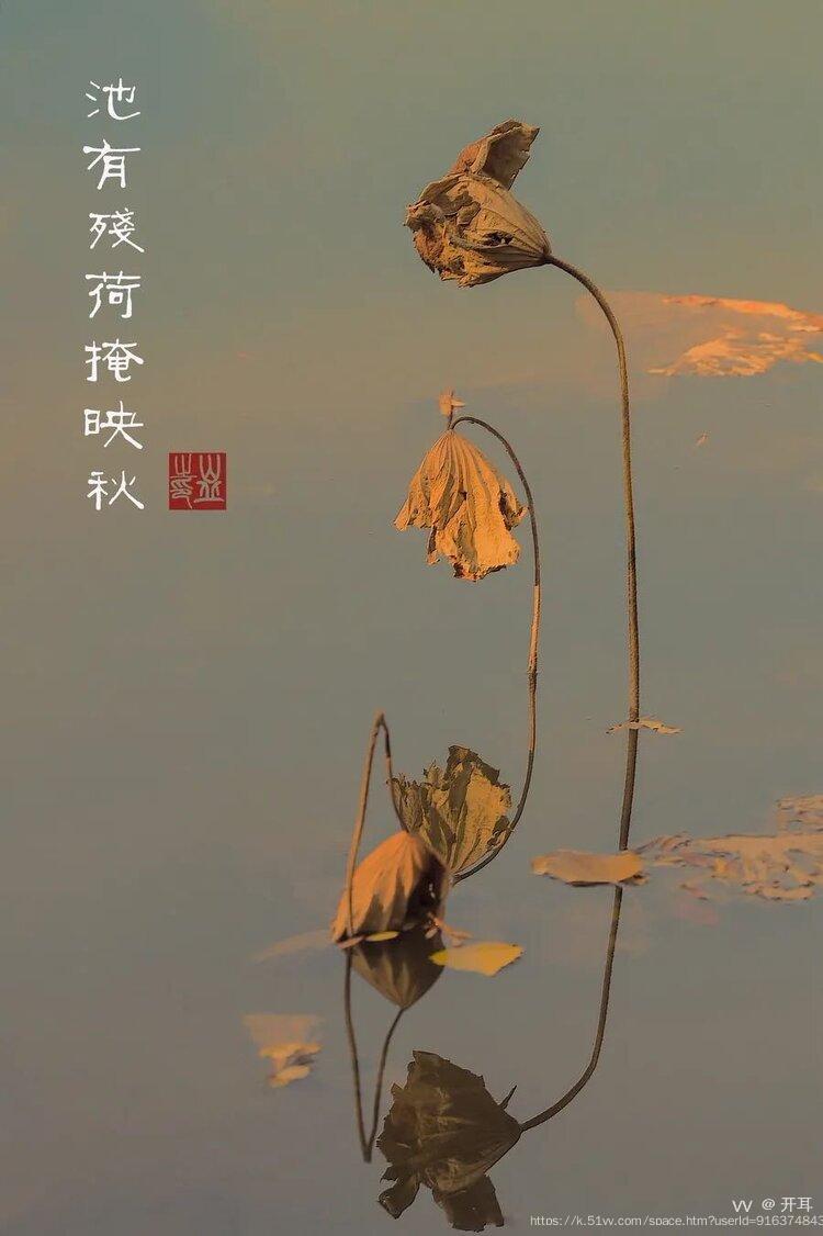 开耳