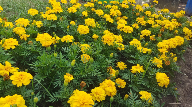 雪儿🎤V娱热点