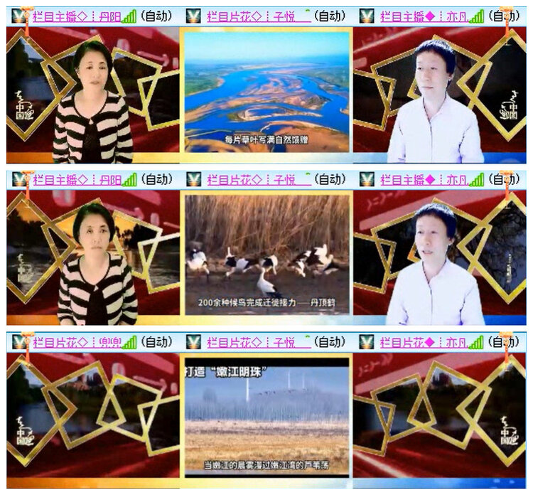 小路🎤V娱热点