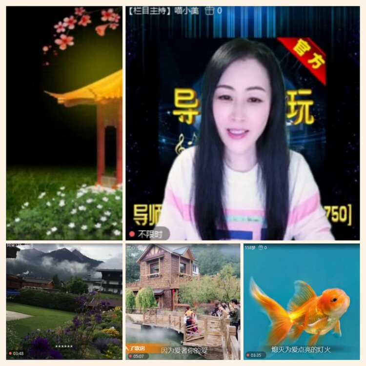 落雪🎤V娱热点